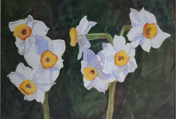 Jonquils by Lin Beribak
