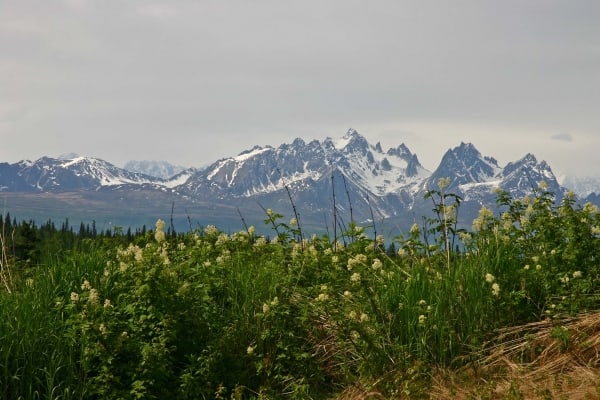 Alaska Mountains by Tom Borgal Photography