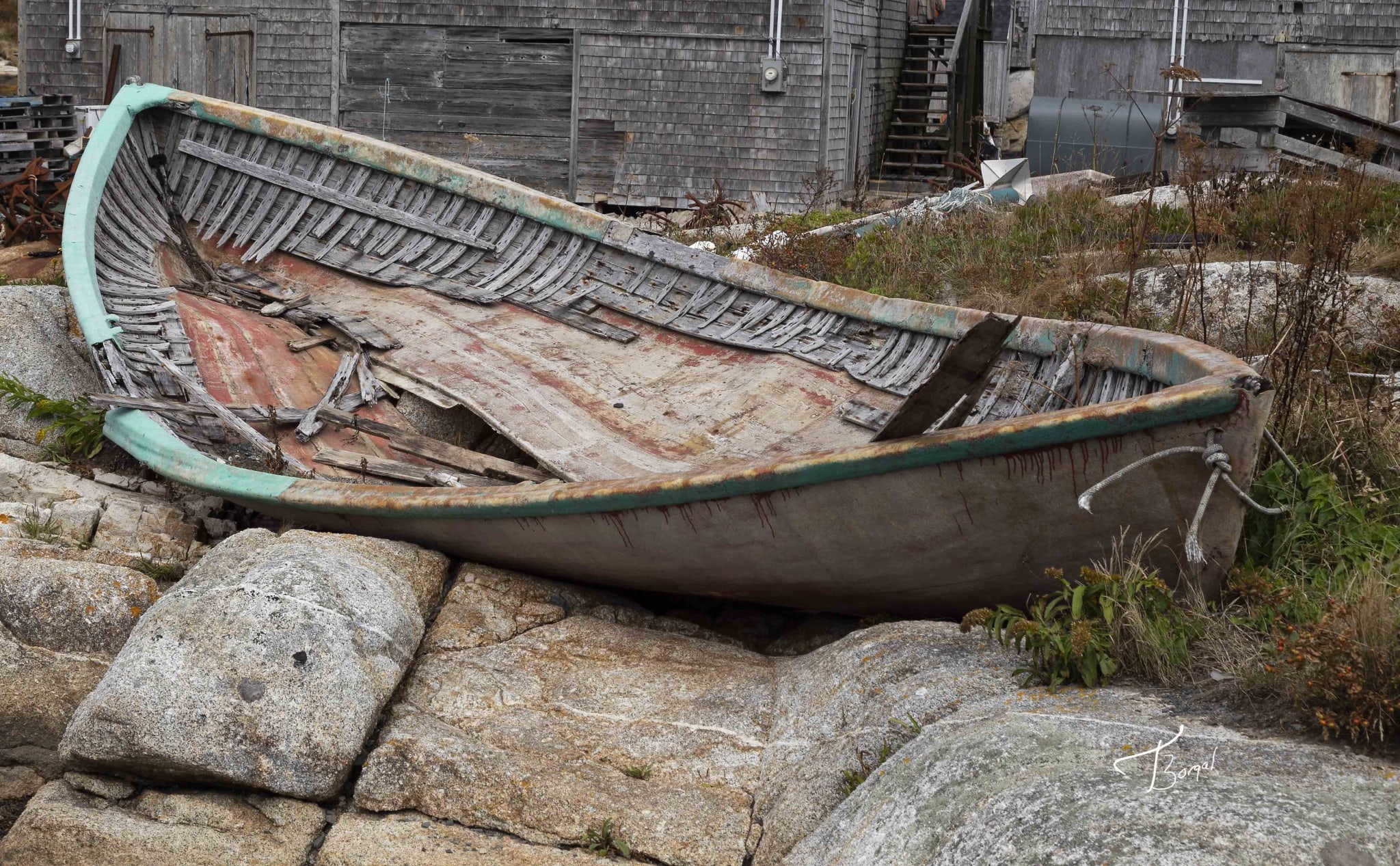 Neglected by Tom Borgal Photography