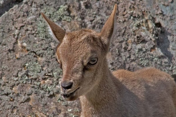 Where is my mother by Tom Borgal Photography