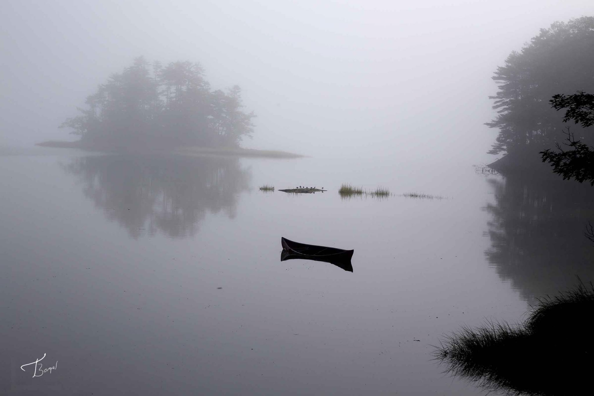 Reflections in the Fog by Tom Borgal Photography
