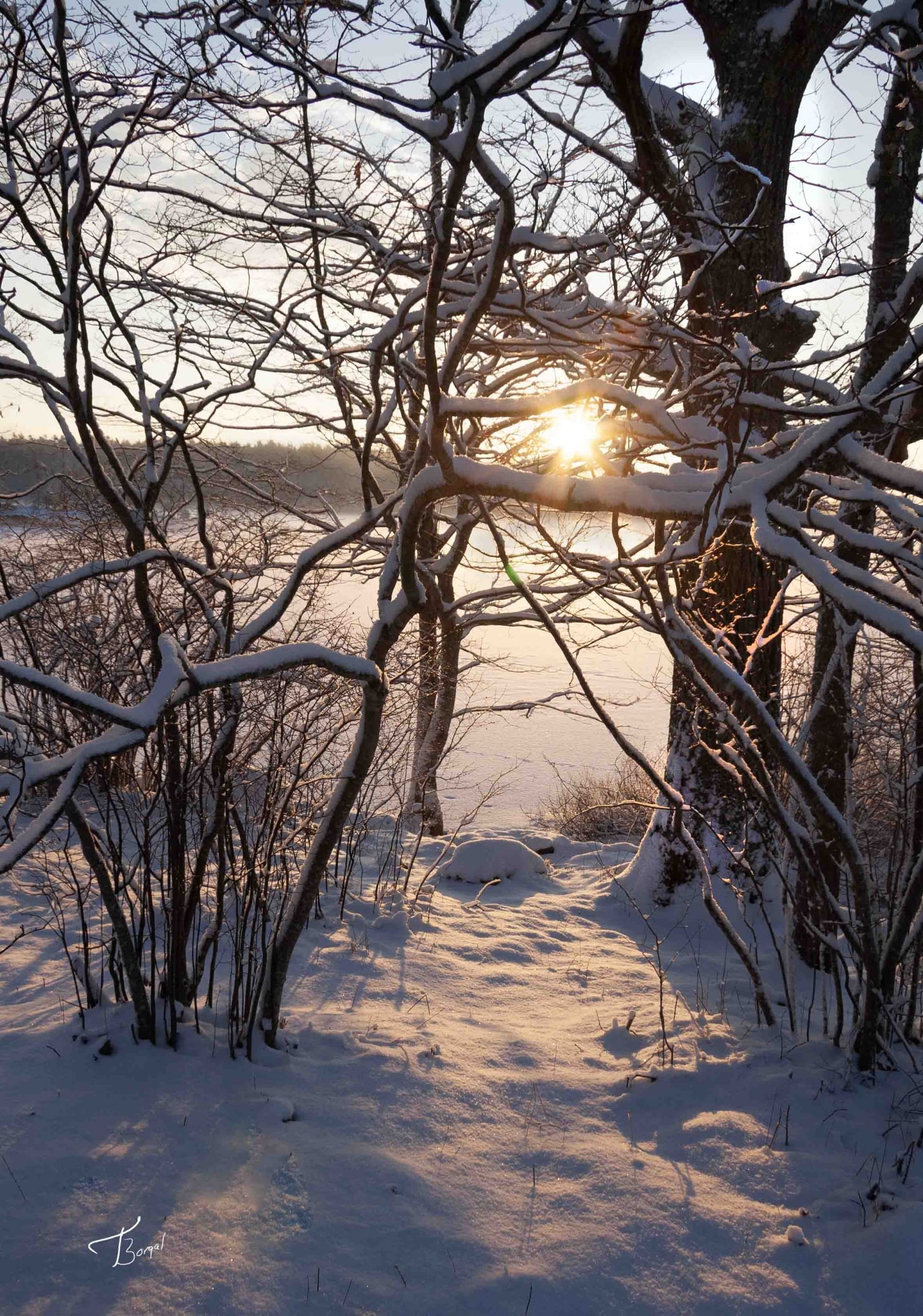 Winter Sunrise Over Webber Pond by Tom Borgal Photography