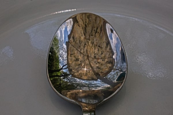 Umbrella in a Spoon by Tom Borgal Photography