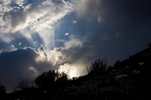 Sun Rays by Tom Borgal Photography