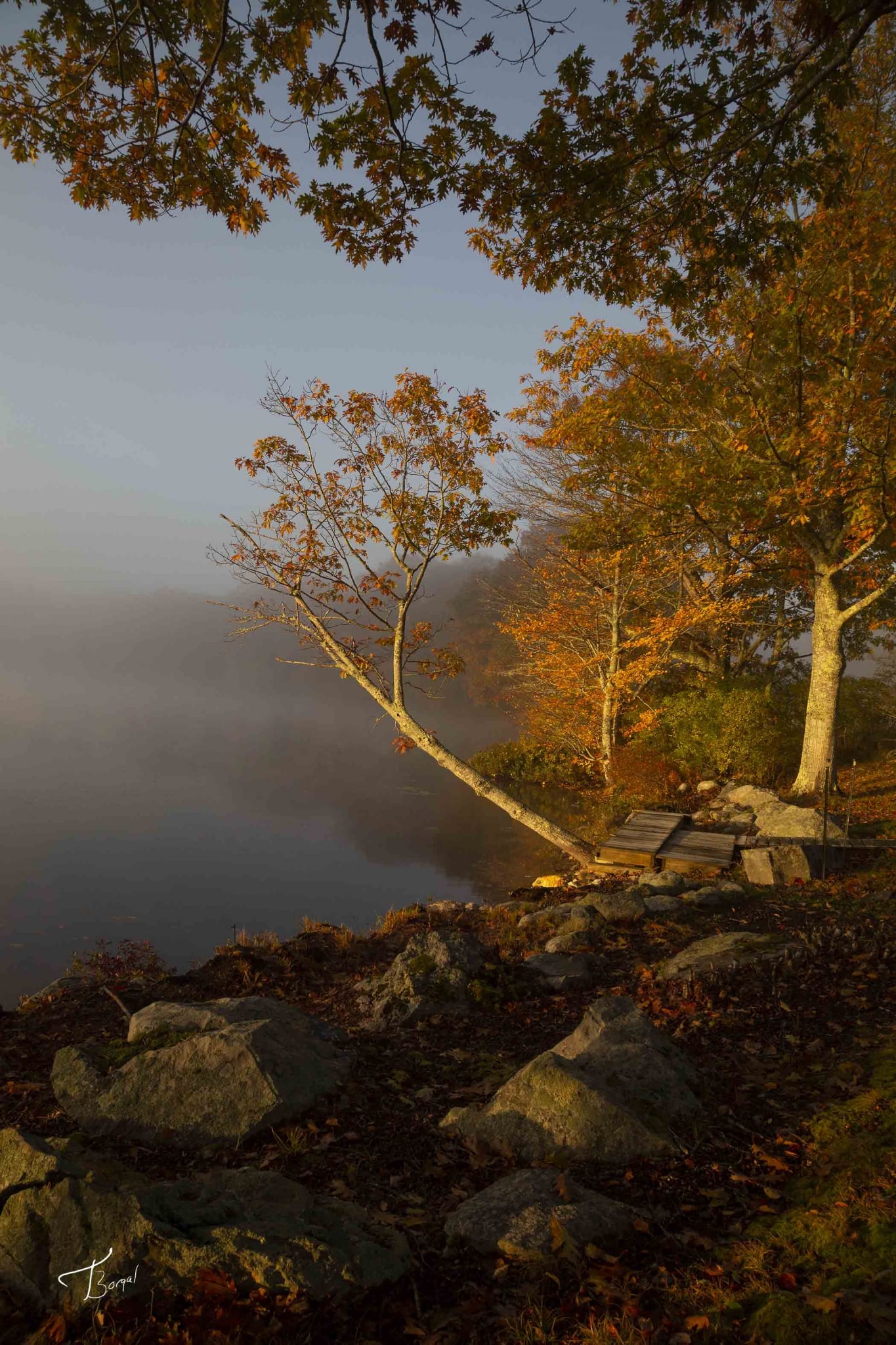 Autumn Sunrise by Tom Borgal Photography