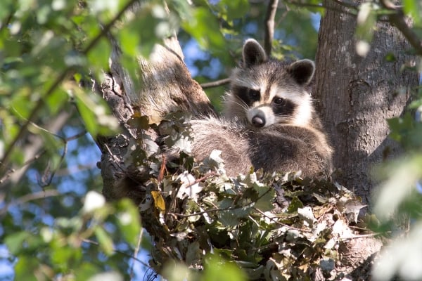 I See You by Tom Borgal Photography