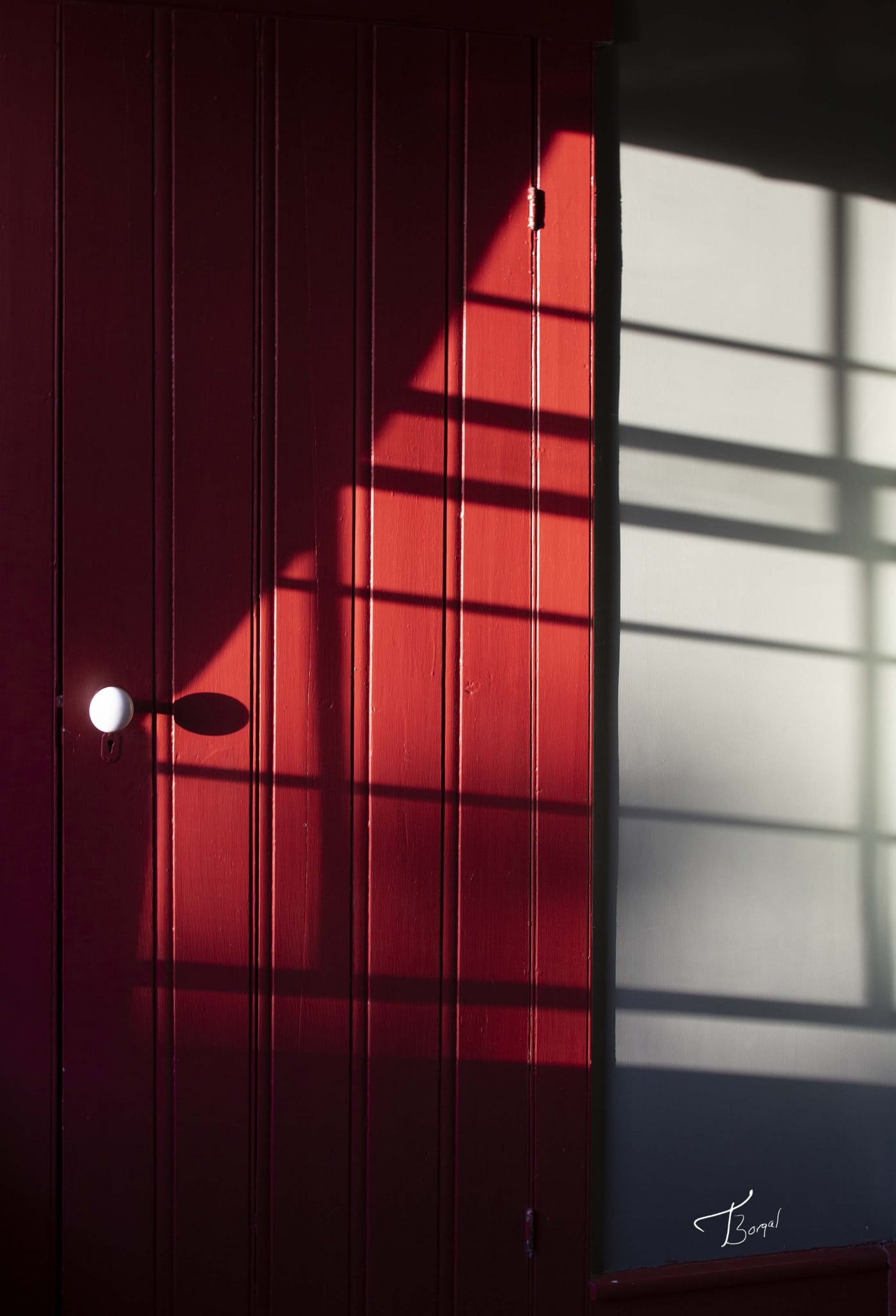 Shadows on Red Door by Tom Borgal Photography