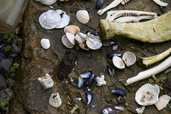 Debris by Tom Borgal Photography