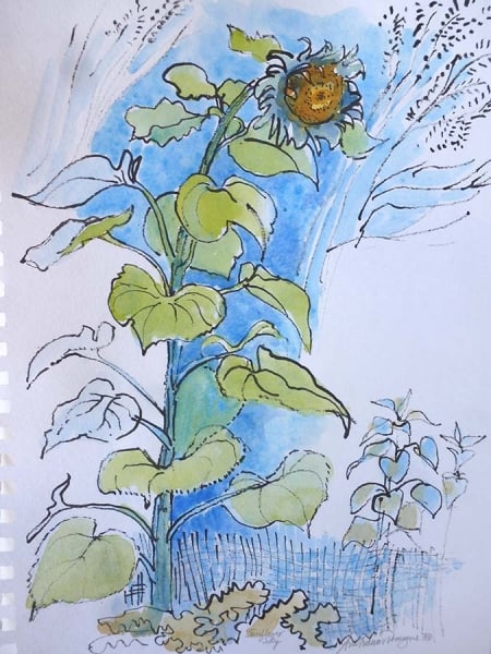 Sunflower Sky