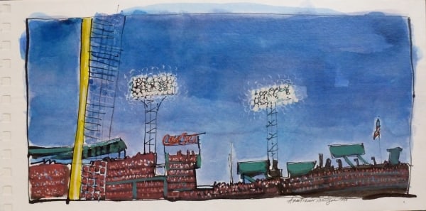 Fenway Skylights