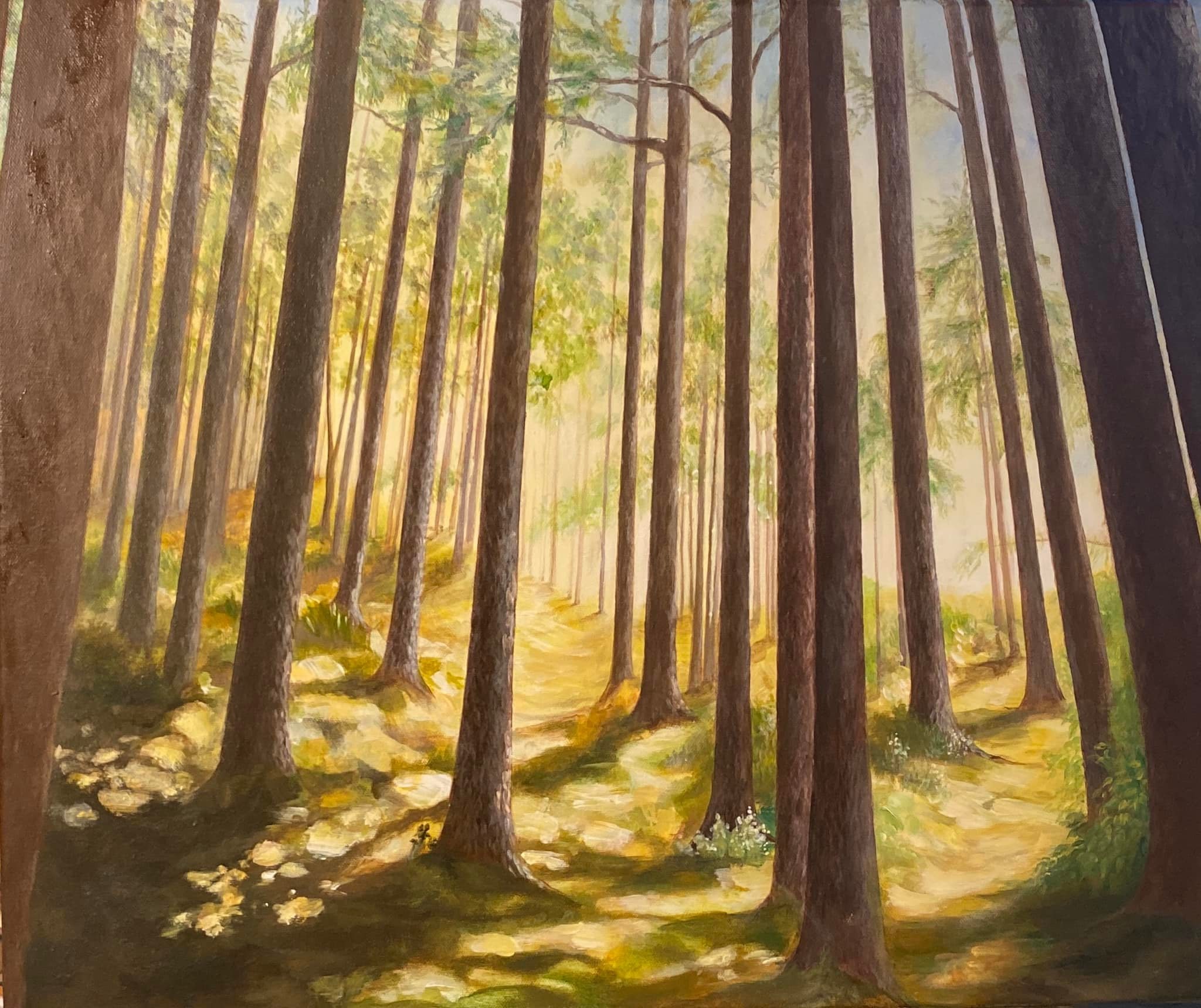 Dappled Shade by Shauna Scott