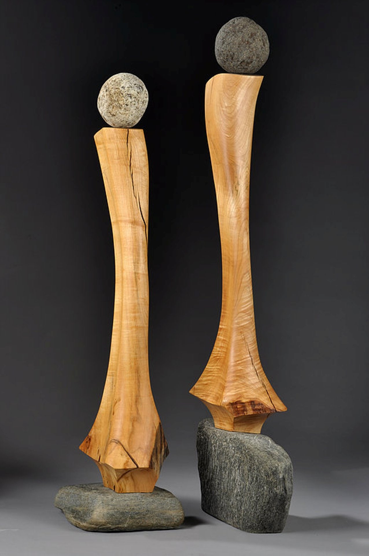 Traveling with Dignity_pair by Len Zeoli