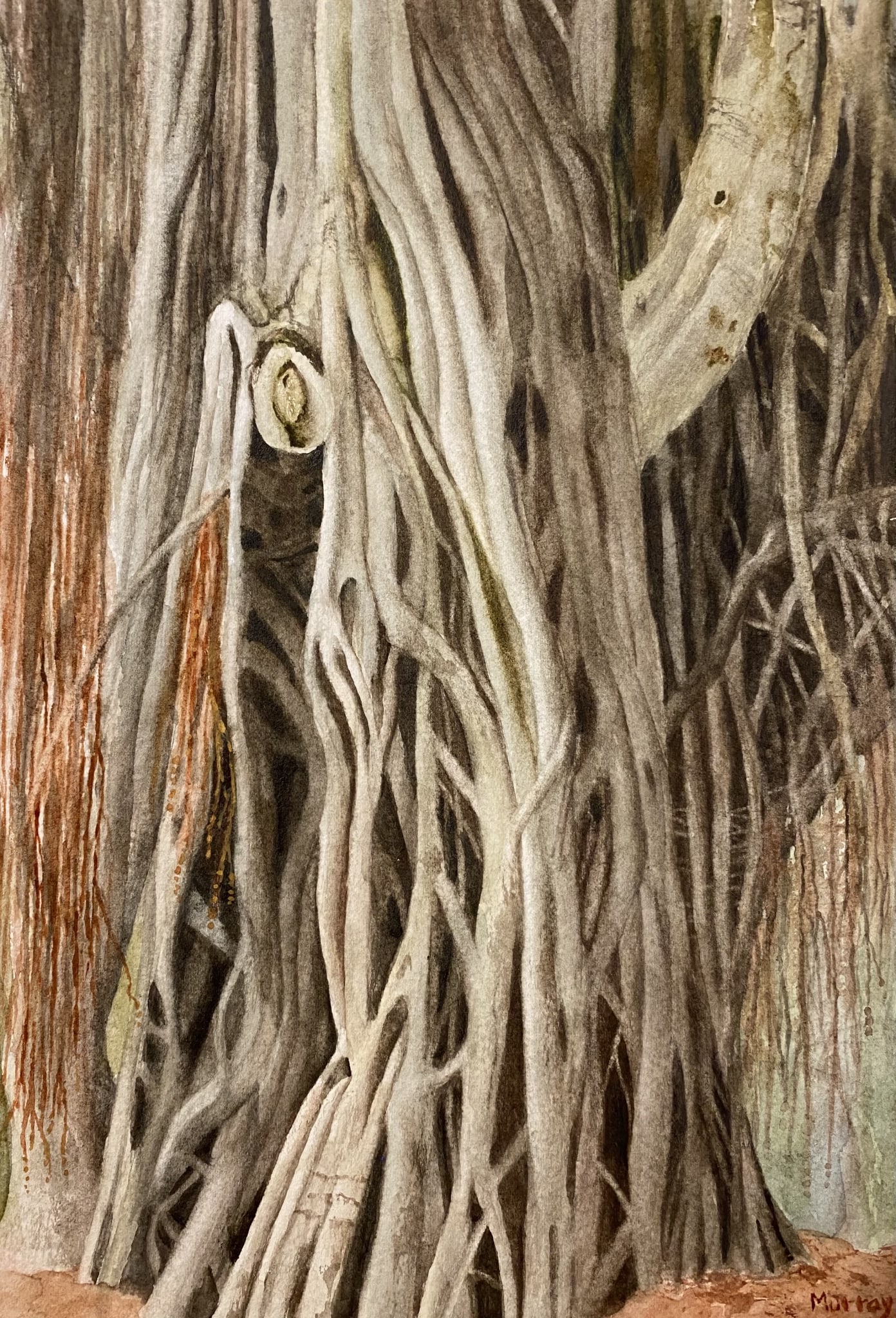 Banyan by Linda Clowes Murray
