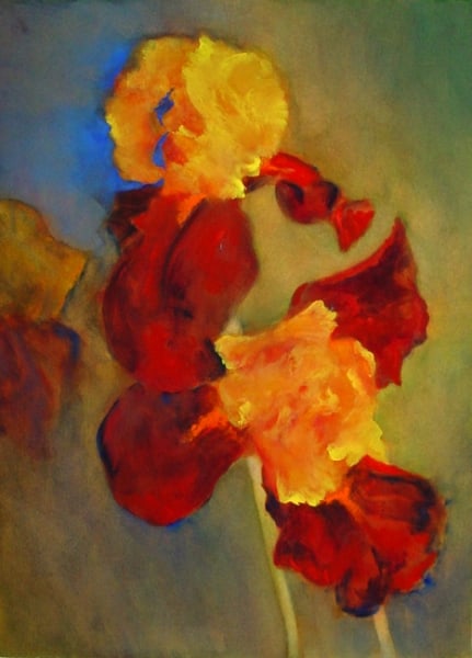 Red & Yellow Iris by Calvin deRuyter