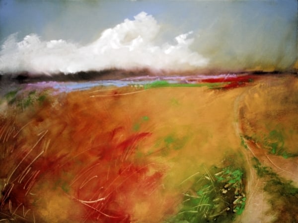 Marsh In The Back 40 by Calvin deRuyter