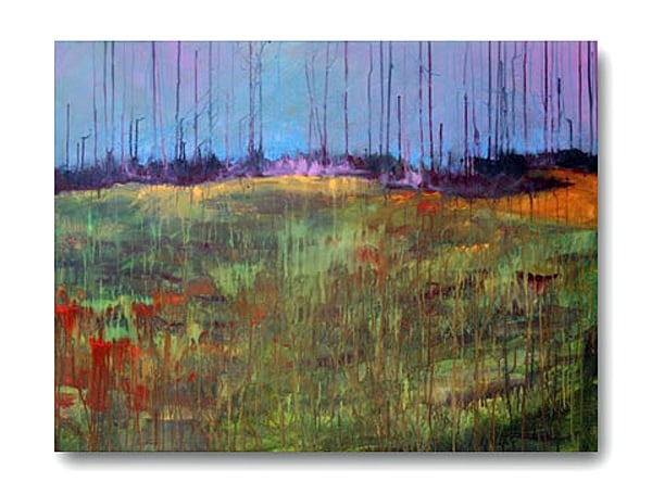 Wildflower Field Near Battle Lake by Calvin deRuyter