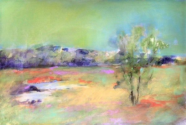 Marshland by Calvin deRuyter