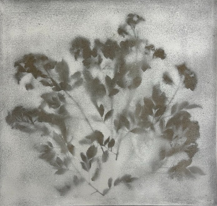 Nature 80 by John Horejs