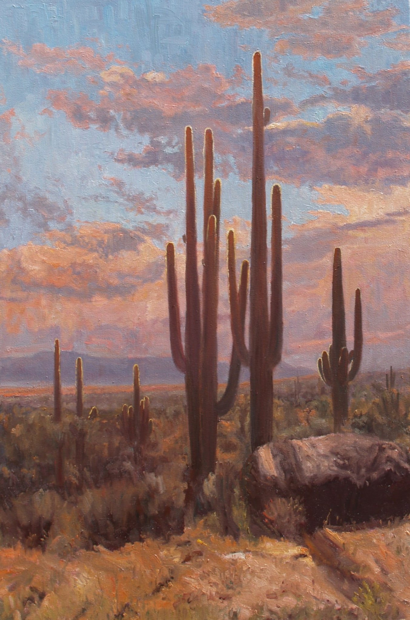Desertscape--Saguaro Shadows by John Horejs