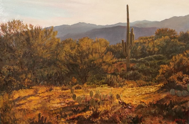 Desertscape--Sonoran Hills by John Horejs