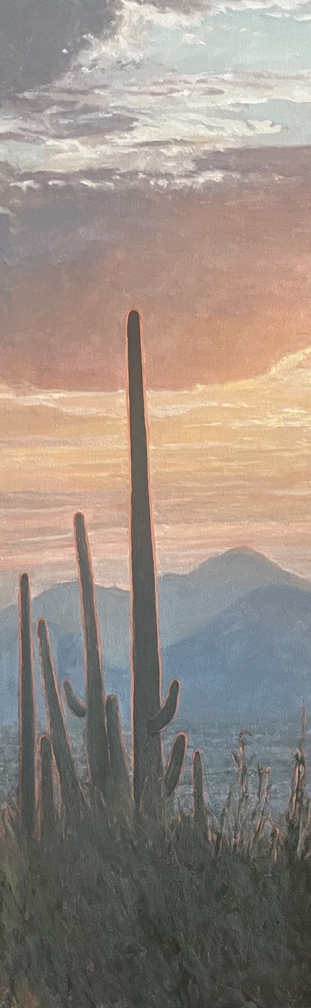 Desertscape--Saguaros at Sunset by John Horejs