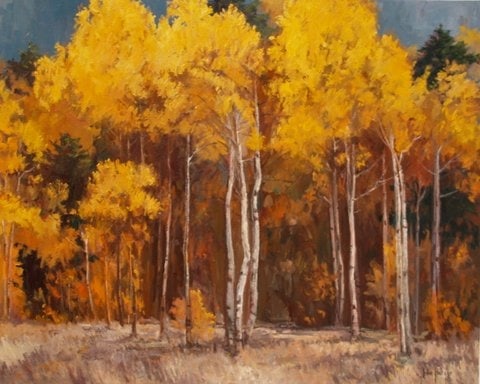 Trees--Autumn Colors by John Horejs