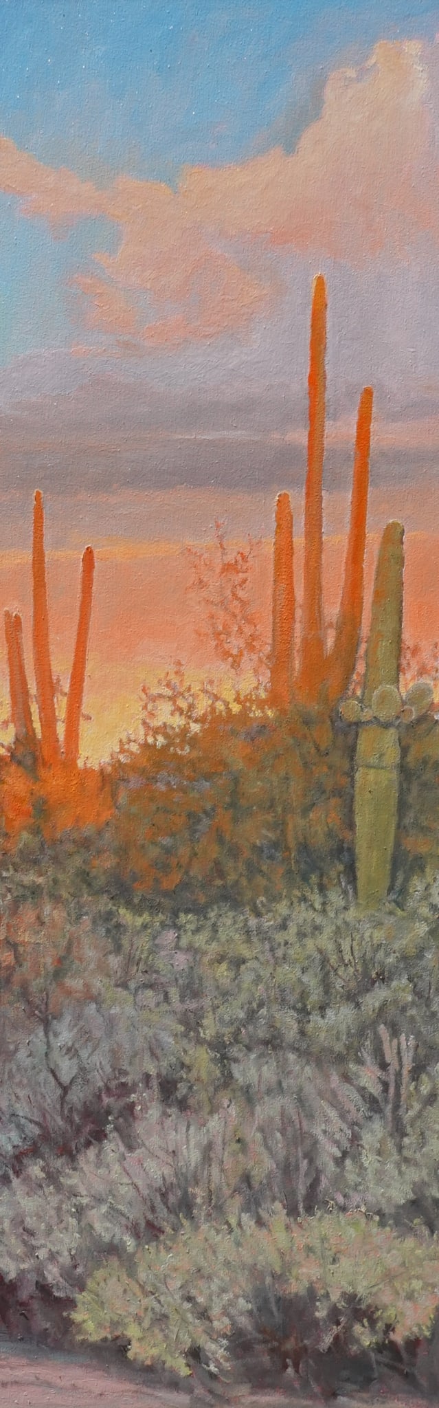 Desertscapes--Sonoran Colors II by John Horejs