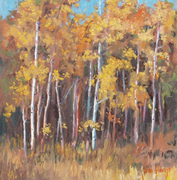 Trees--Aspen Grove by John Horejs