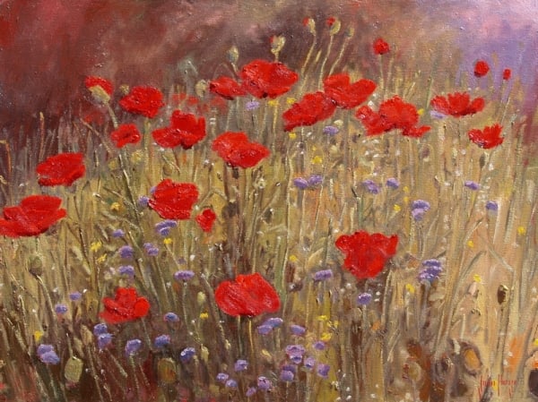 Floral--Early Summer Poppies by John Horejs