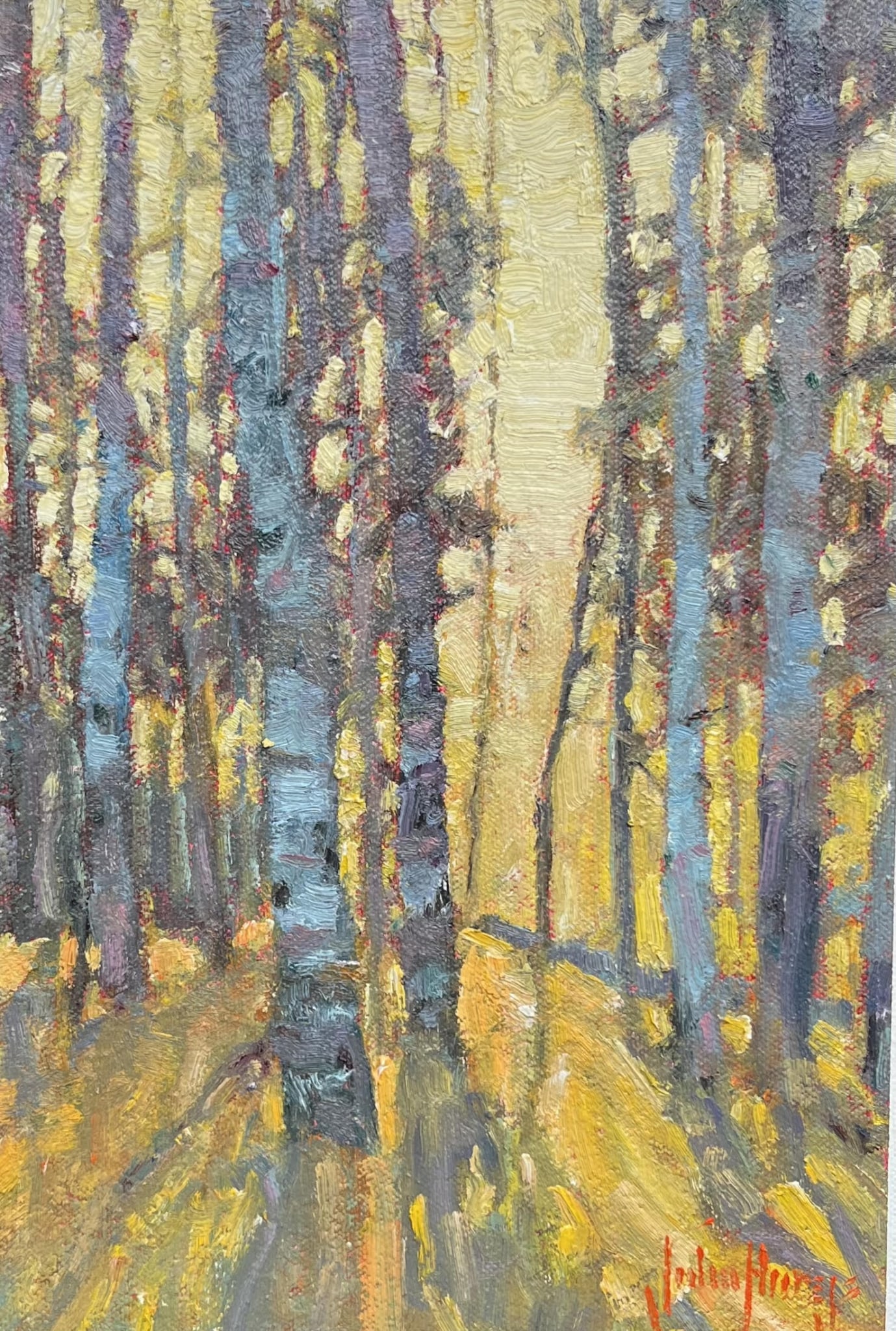 Trees--Woodland Glow by John Horejs