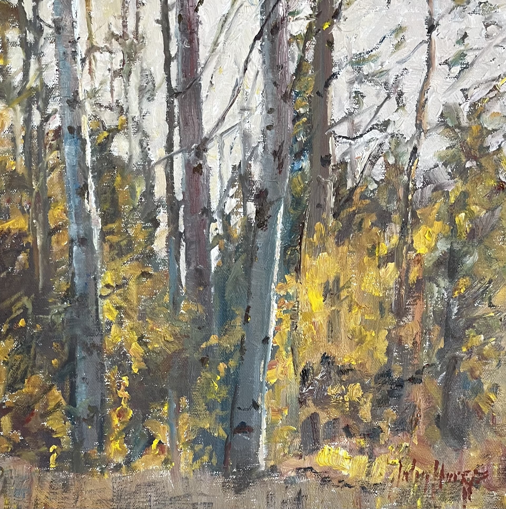 Trees--Autumn Aspens by John Horejs