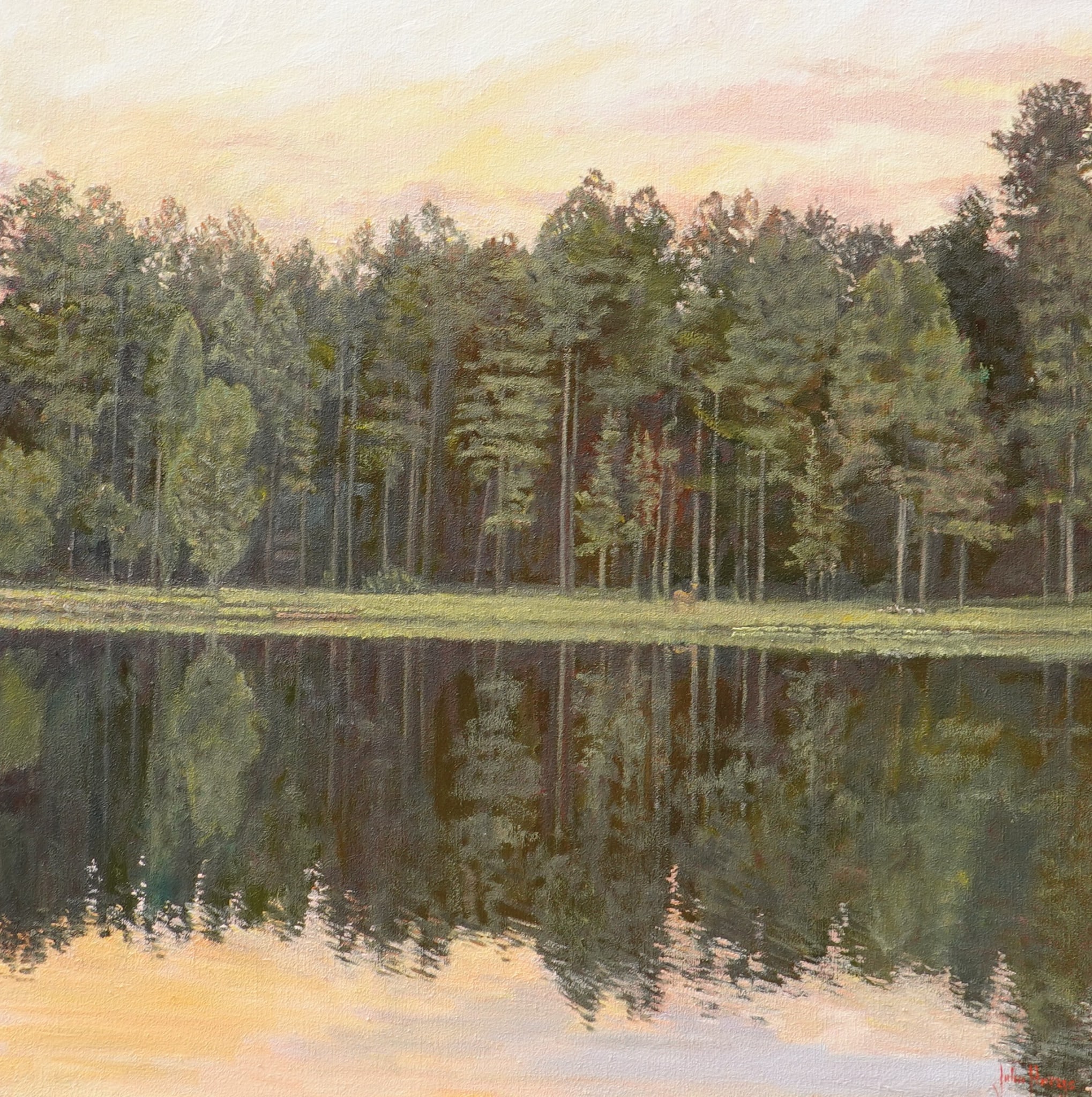 Pinetop Reflections by John Horejs
