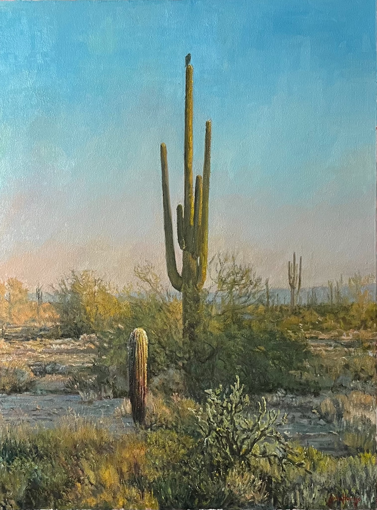 Desertscapes--Saguaro at Dawn by John Horejs