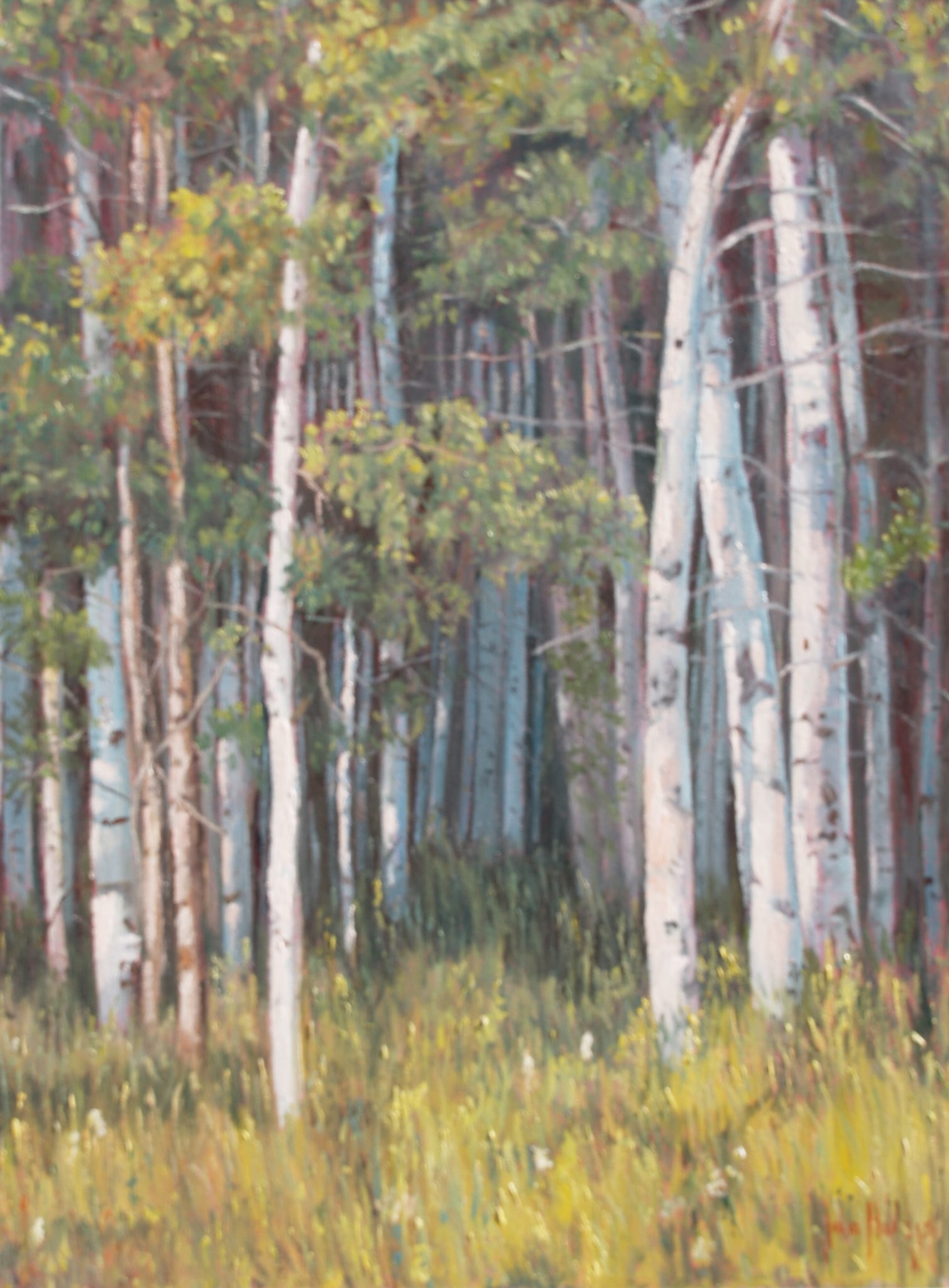 Trees--Shadowed Woods by John Horejs
