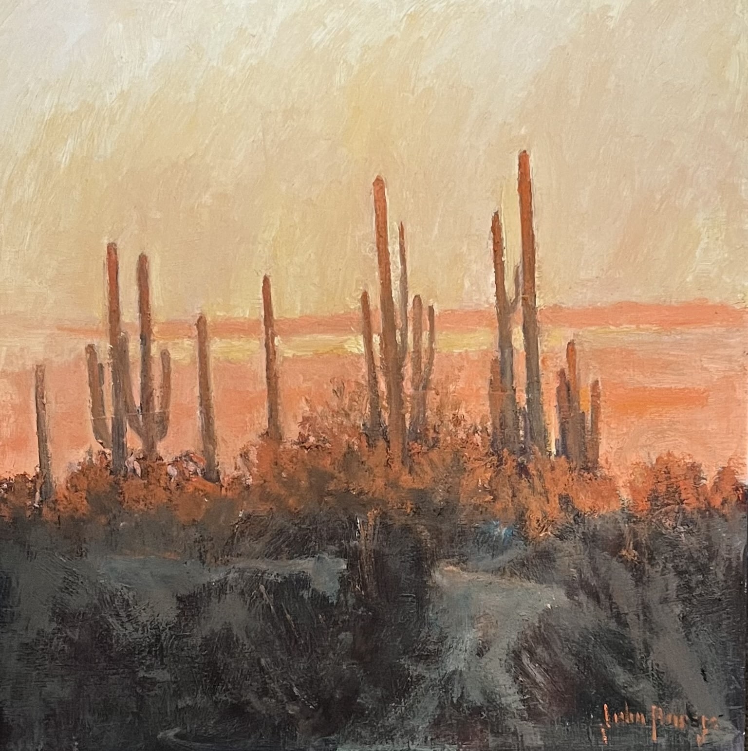 Desertscape--Saguaro Shadows by John Horejs