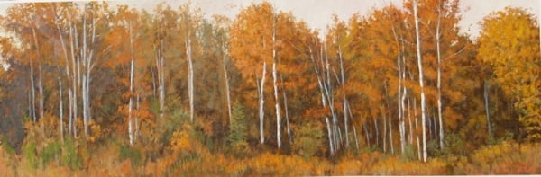 Trees--Birches in Autumn by John Horejs