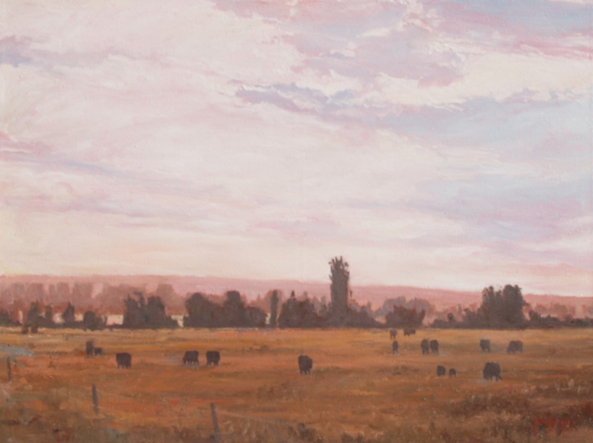 Early Morning Grazing by John Horejs
