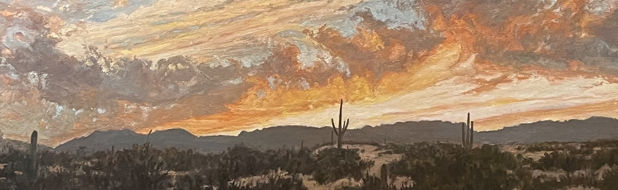 Desertscape--After the Storm by John Horejs