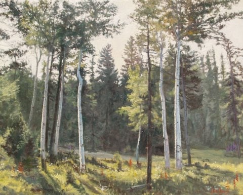 Trees--Aspen Splendor by John Horejs