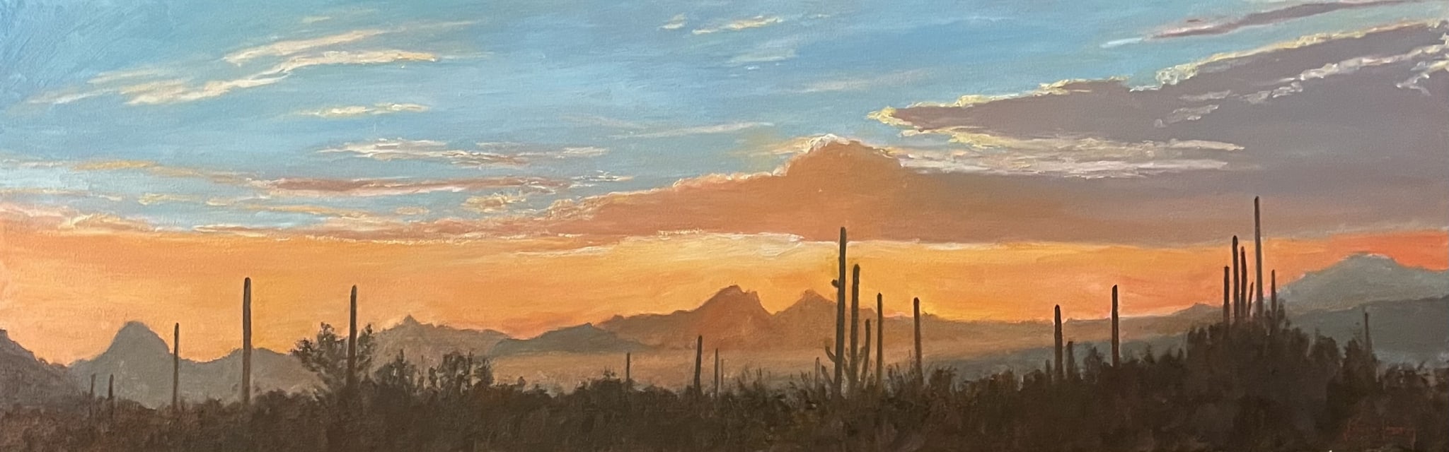 Desert Sunset Symphony by John Horejs