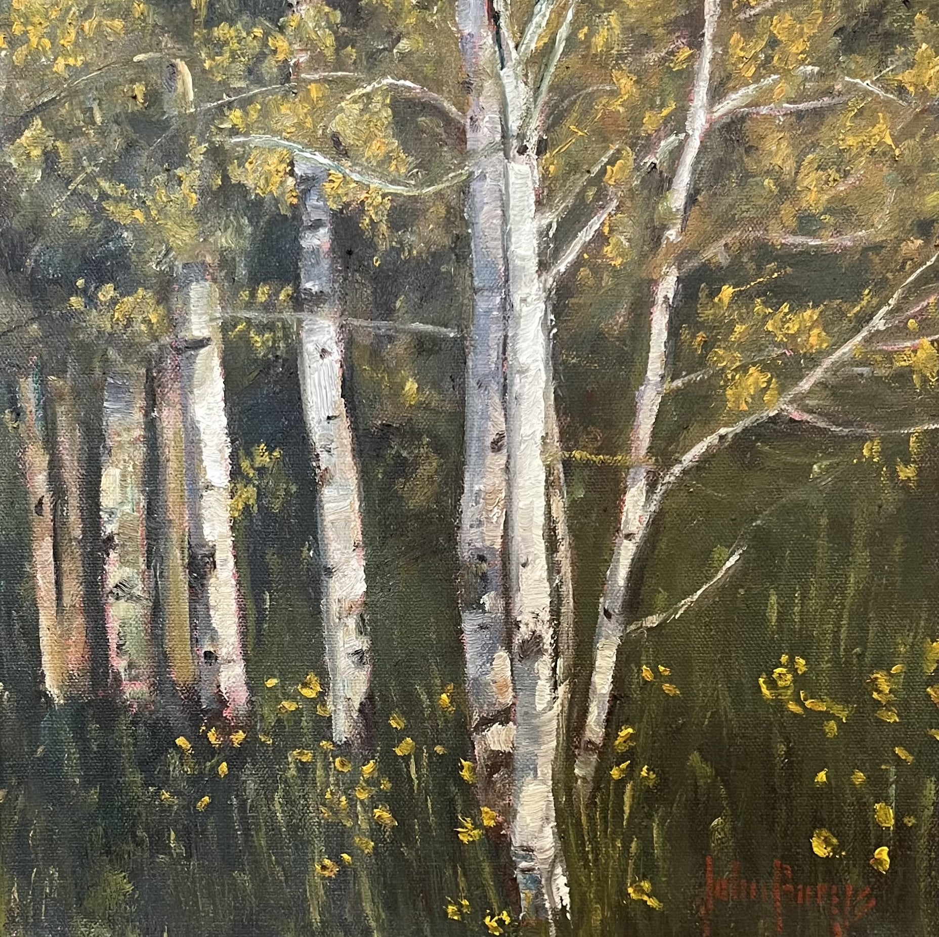 Trees--Summer Aspen Grove by John Horejs