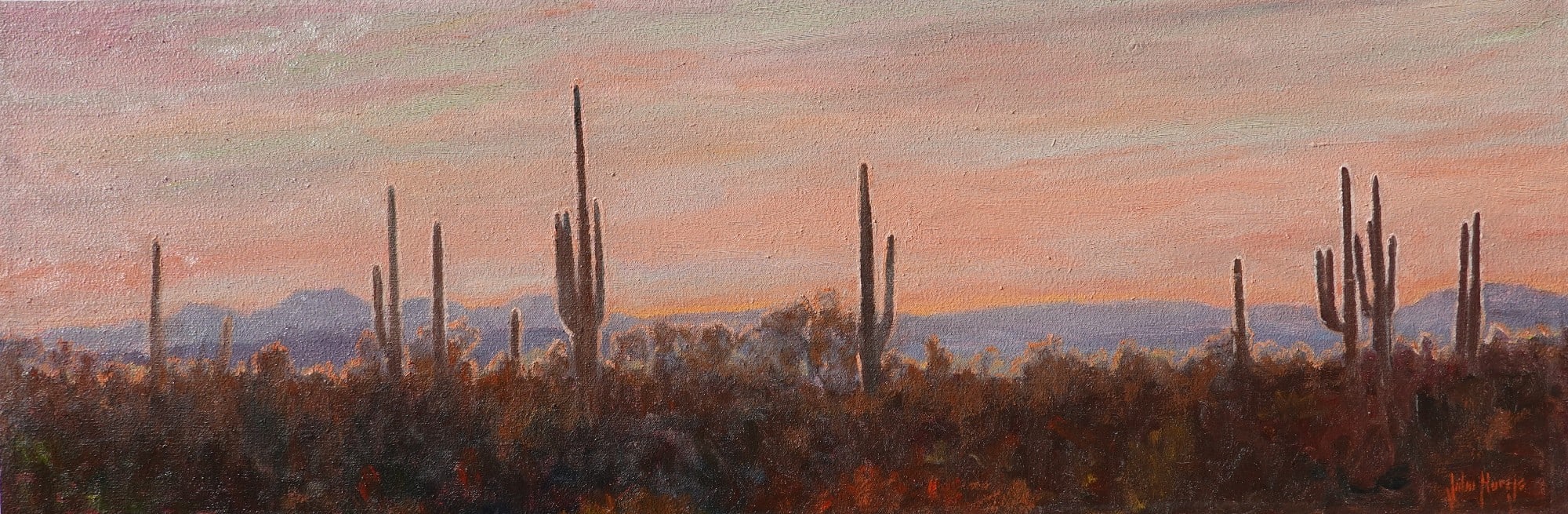 Desertscape--Cactus Ridge Sunset by John Horejs
