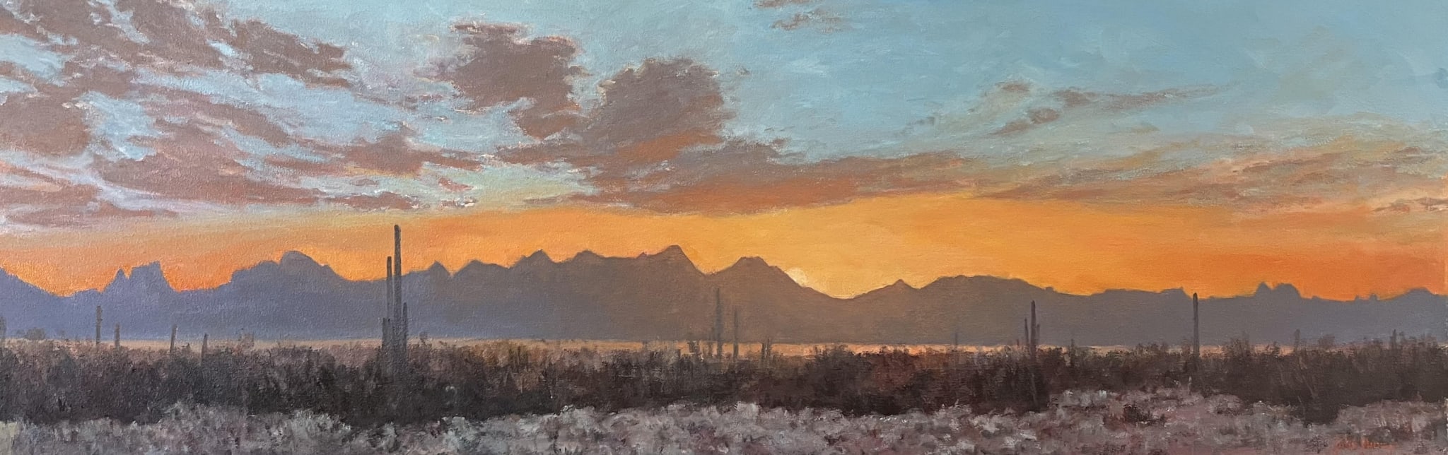 Desertscape—Desert Sunset Clouds by John Horejs