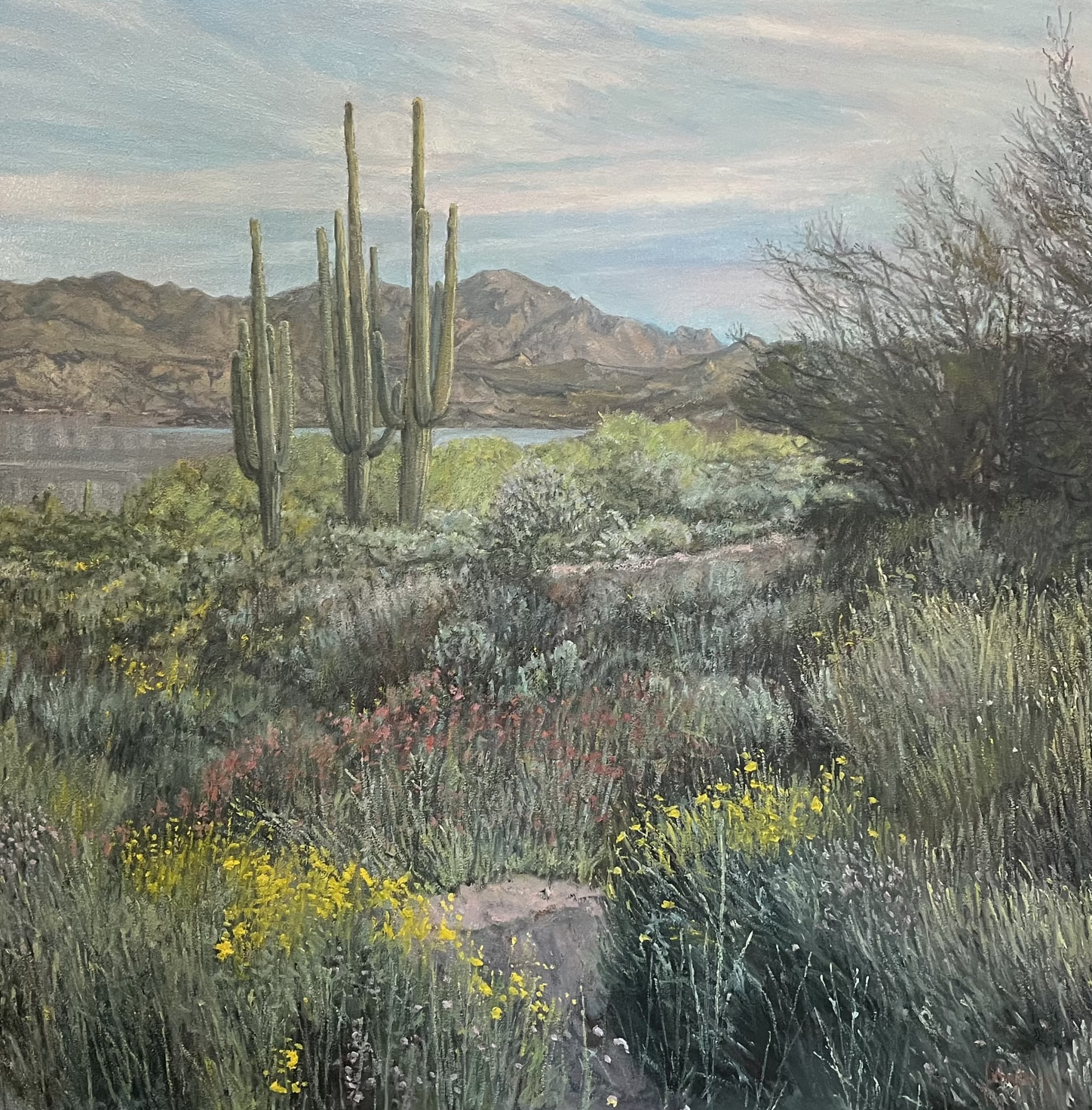 Desertscape--The Blooming Desert by John Horejs