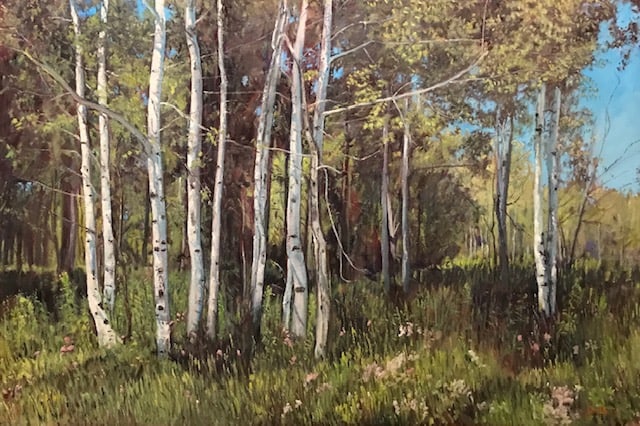 Trees--Solitude by John Horejs