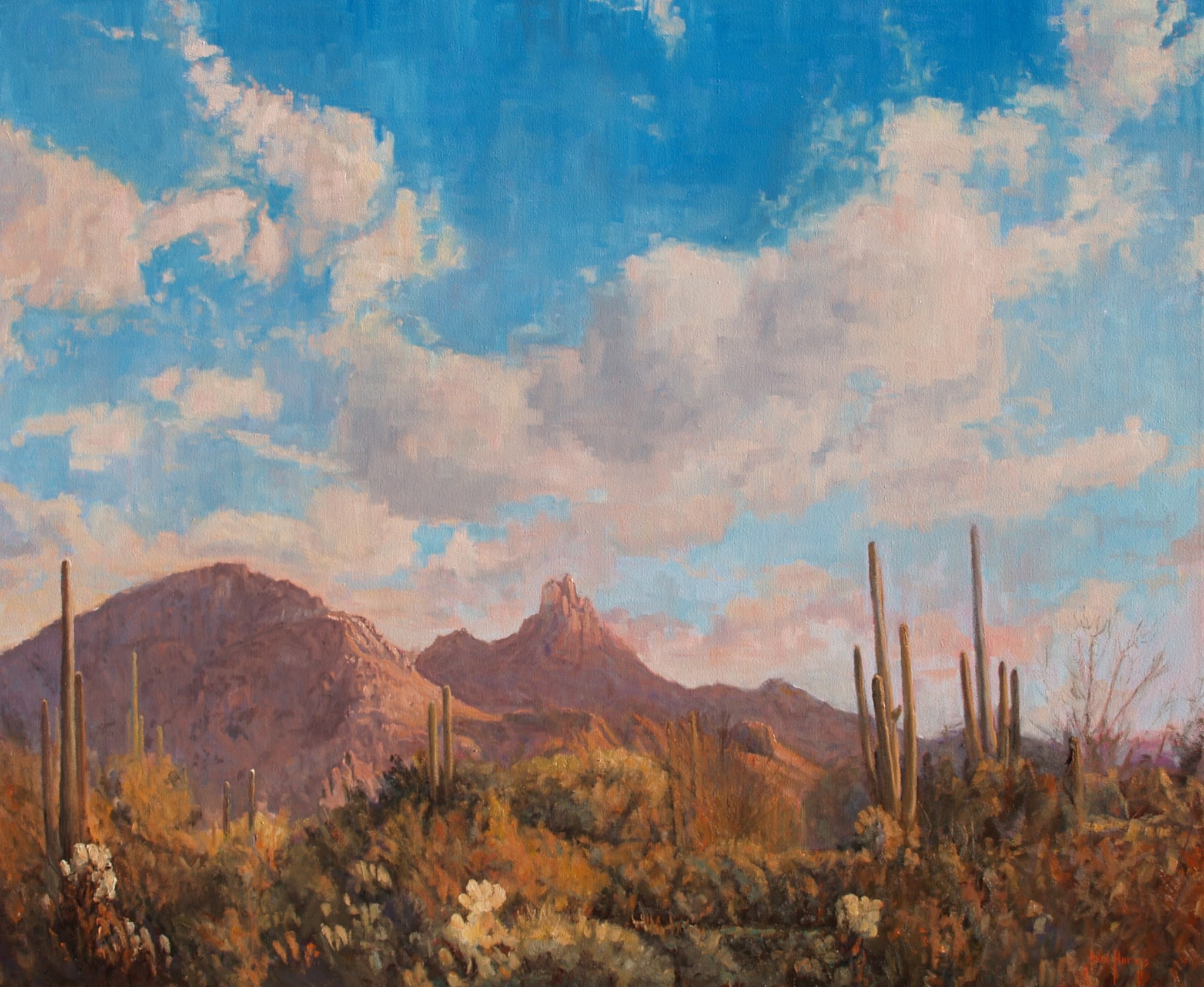 Desertscape--Clouds Over Pinnacle Peak by John Horejs