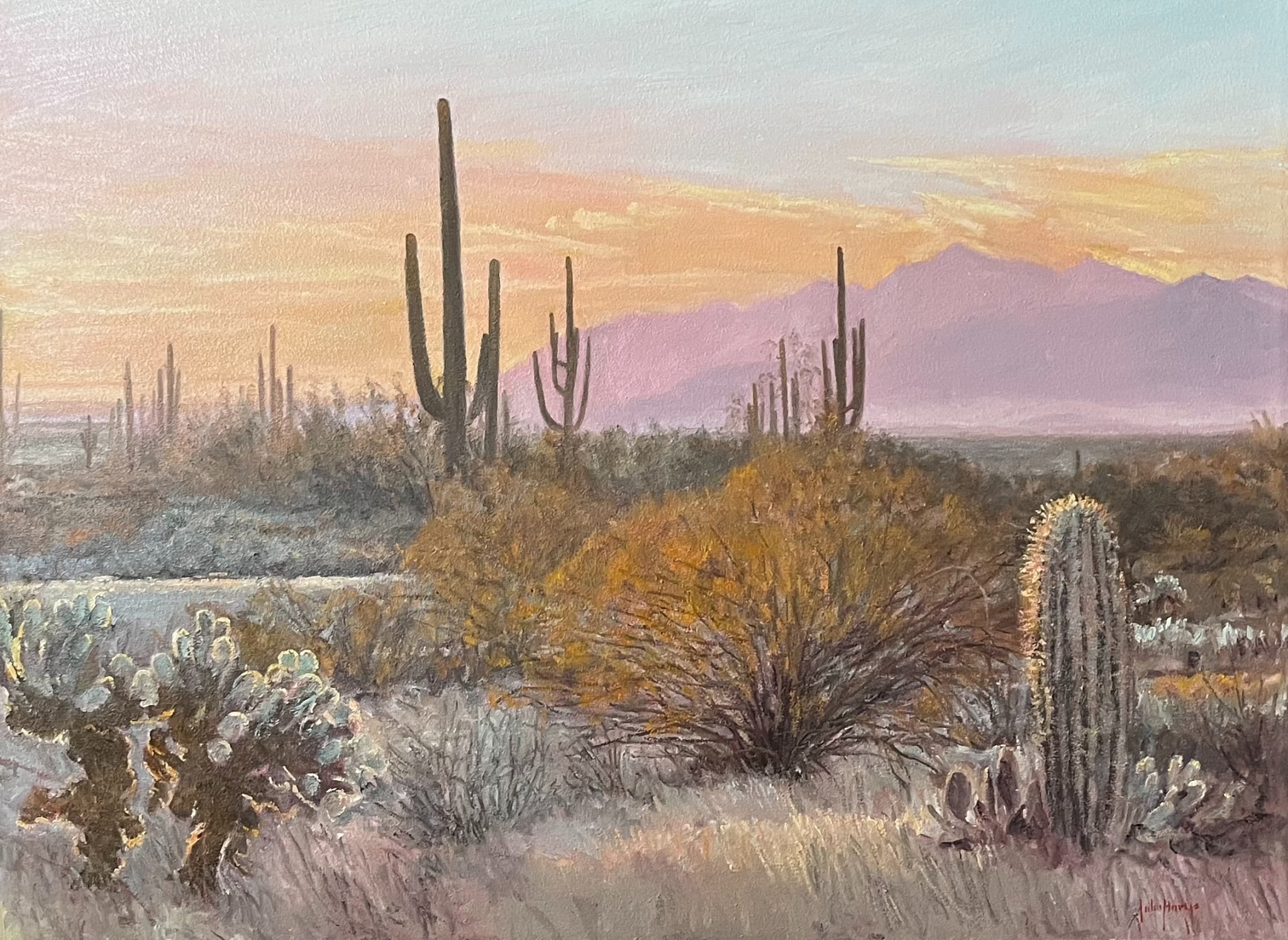 Desertscapes--Desert Morning Glow by John Horejs