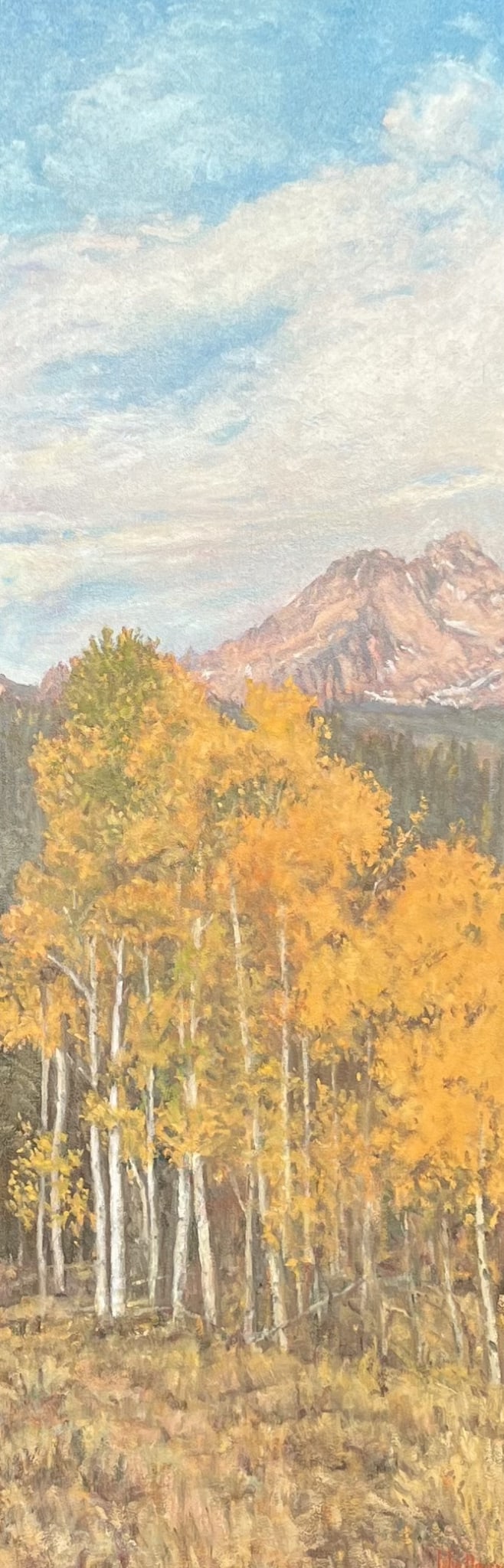 Trees--Autumn in the Sawtooths by John Horejs