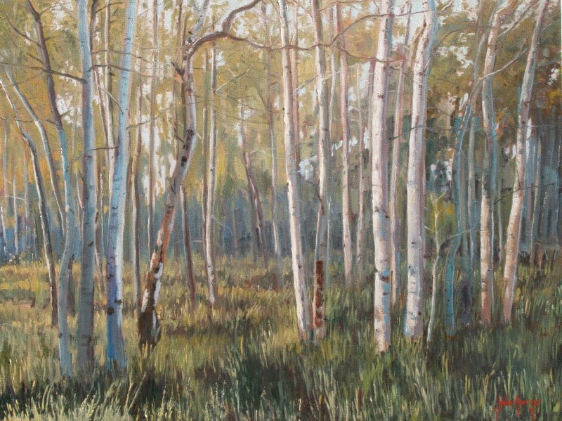 Trees--Aspen Woods by John Horejs