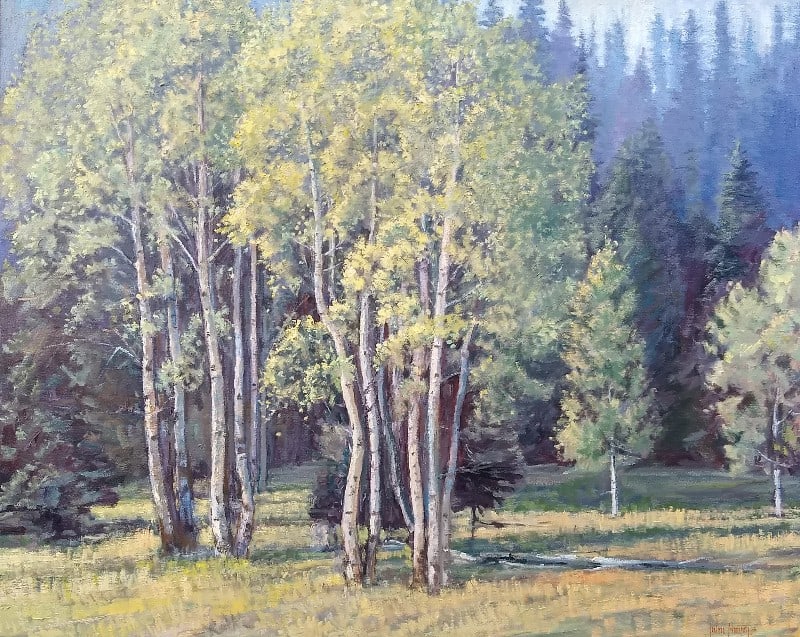 Trees--North Rim Aspens by John Horejs